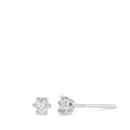 Oorknoppen 750/18K witgoud Diamant wit, 0.25 ct, 2 Steen, [Brillant], w-si Ø4 mm