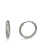 Oorringen creolen Titanium