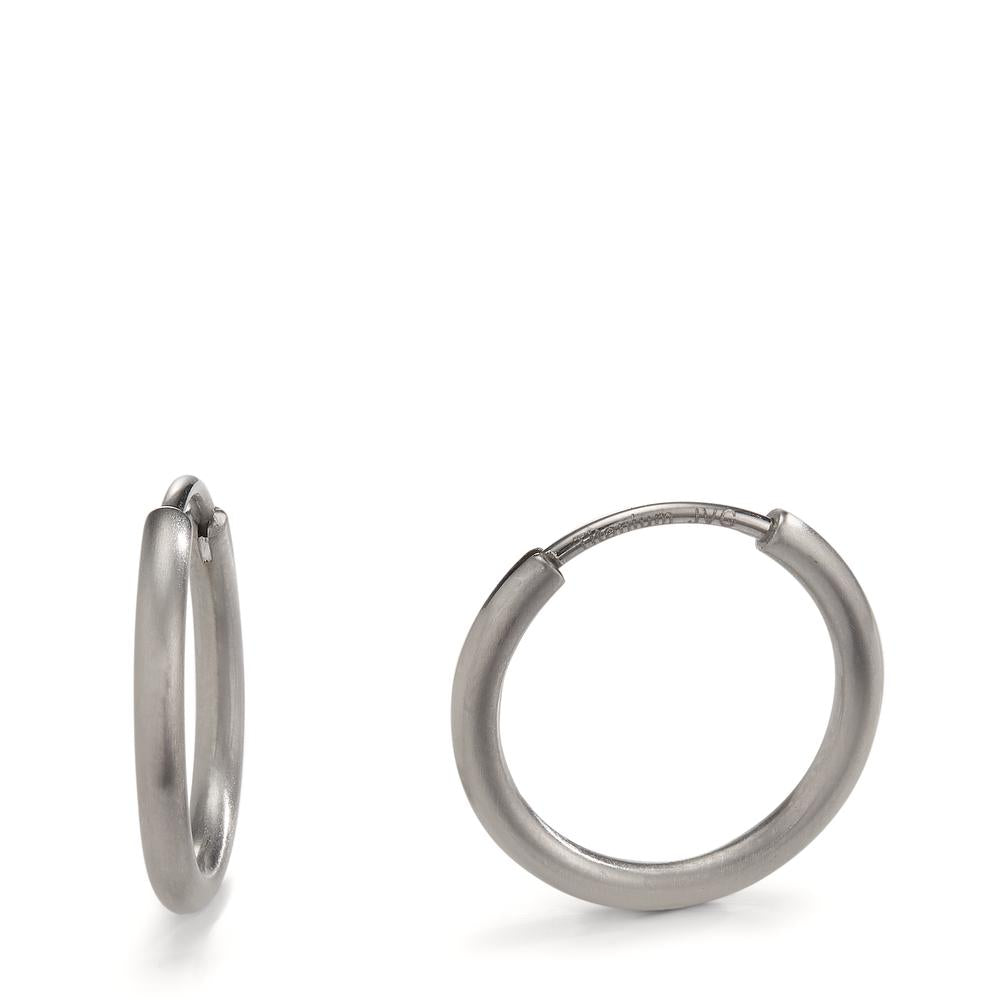 Oorringen creolen Titanium