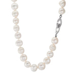Collier Zilver zoetwater Parel, 10.5 mm 49 cm