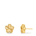 Oorknoppen Zilver Geel Verguld Bloem Ø10 mm