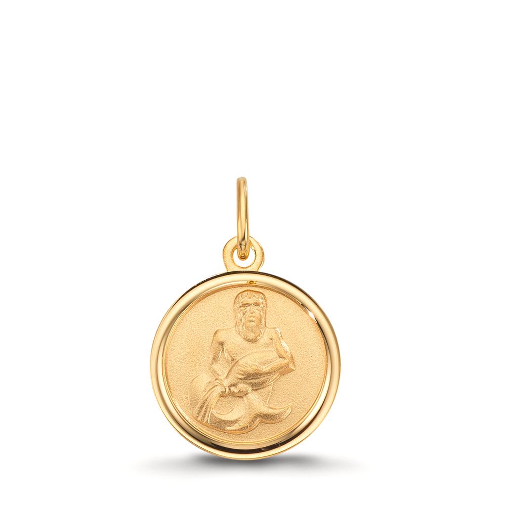 Graveerplaat 375/9K geel goud Sterrenbeeld Waterman Ø12 mm