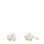 Oorknoppen 375/9K geel goud zoetwater Parel, 6 Parels 2-4 mm