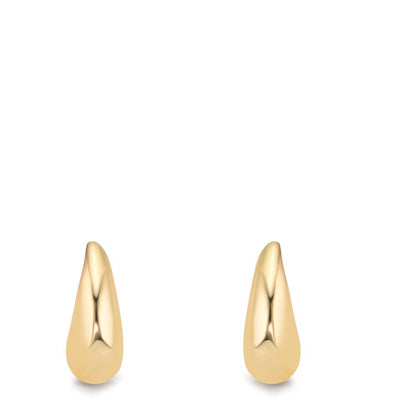 Oorbellen 375/9K geel goud