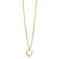 Collier 375/9K geel goud Hart 38-42 cm
