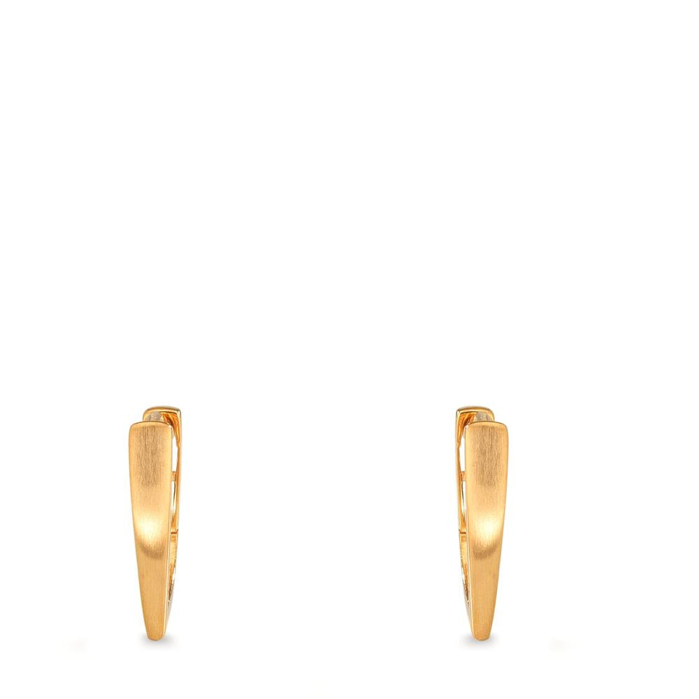 Scharnier oorringen creolen 375/9K geel goud