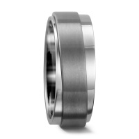 Ring Titanium-558378